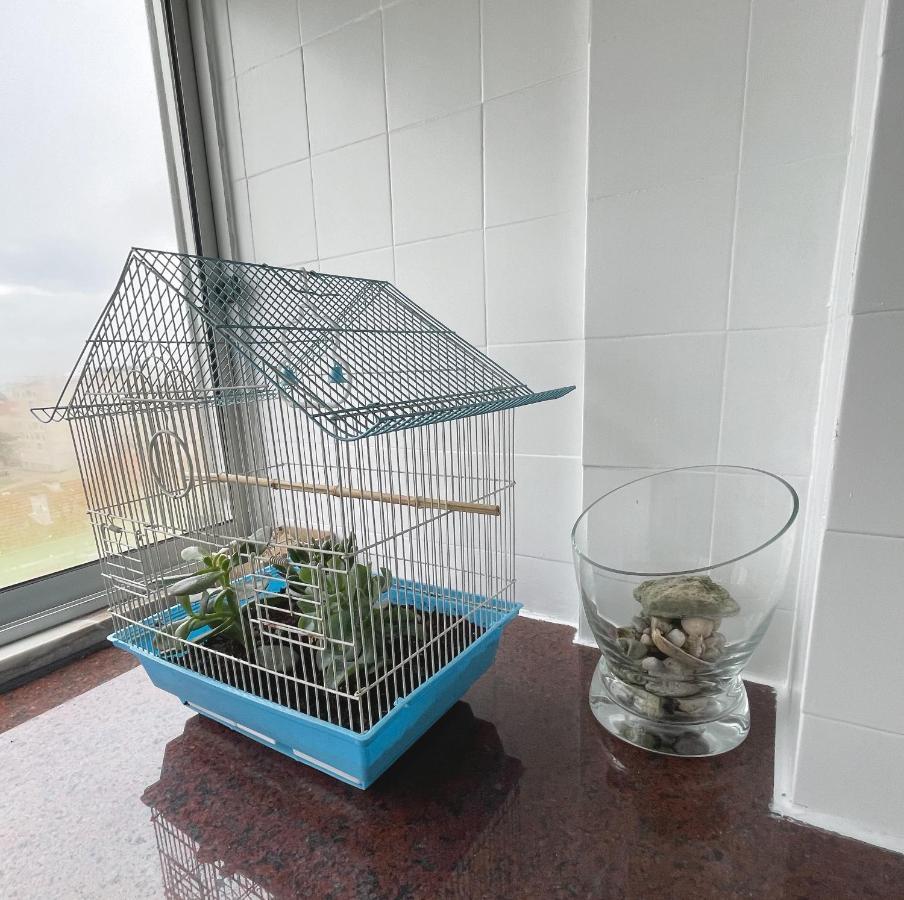 Blue Bay Apartment セトゥーバル エクステリア 写真